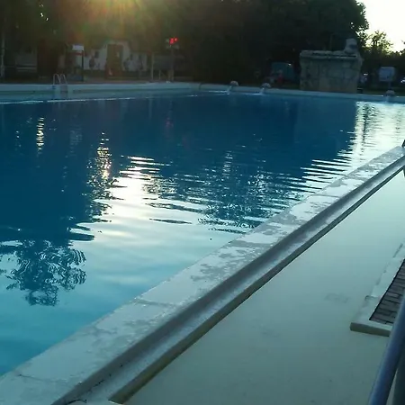 Vacsacsi